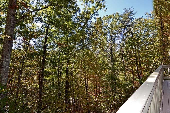 Smoky Mountain Dream Villa Gatlinburg Dış mekan fotoğraf